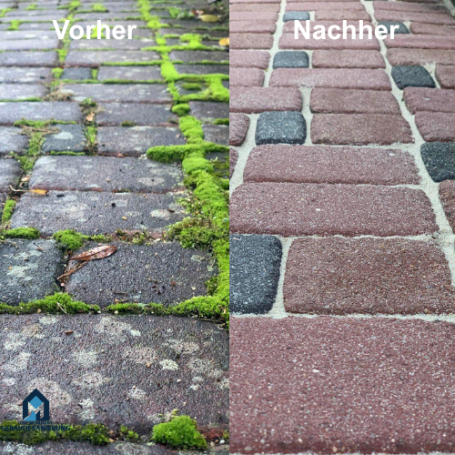 Vergleich von Pflastersteinen: links mit Moos, rechts gereinigt und in neuem Zustand.